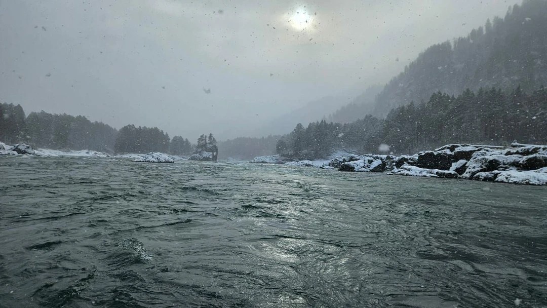 Отзыв о экскурсии "Алтайские выходные: мини-путешествие по Чуйскому тракту" — фото 2