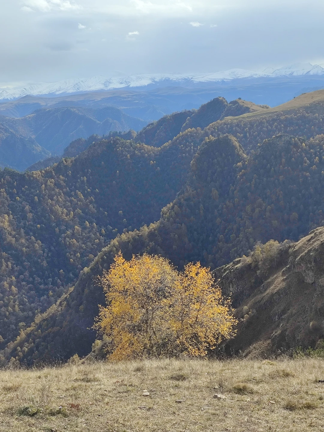 Фото путешественника — 6