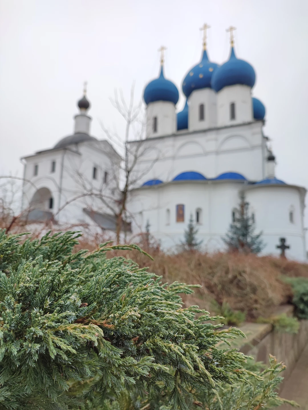 Фото путешественника — 7