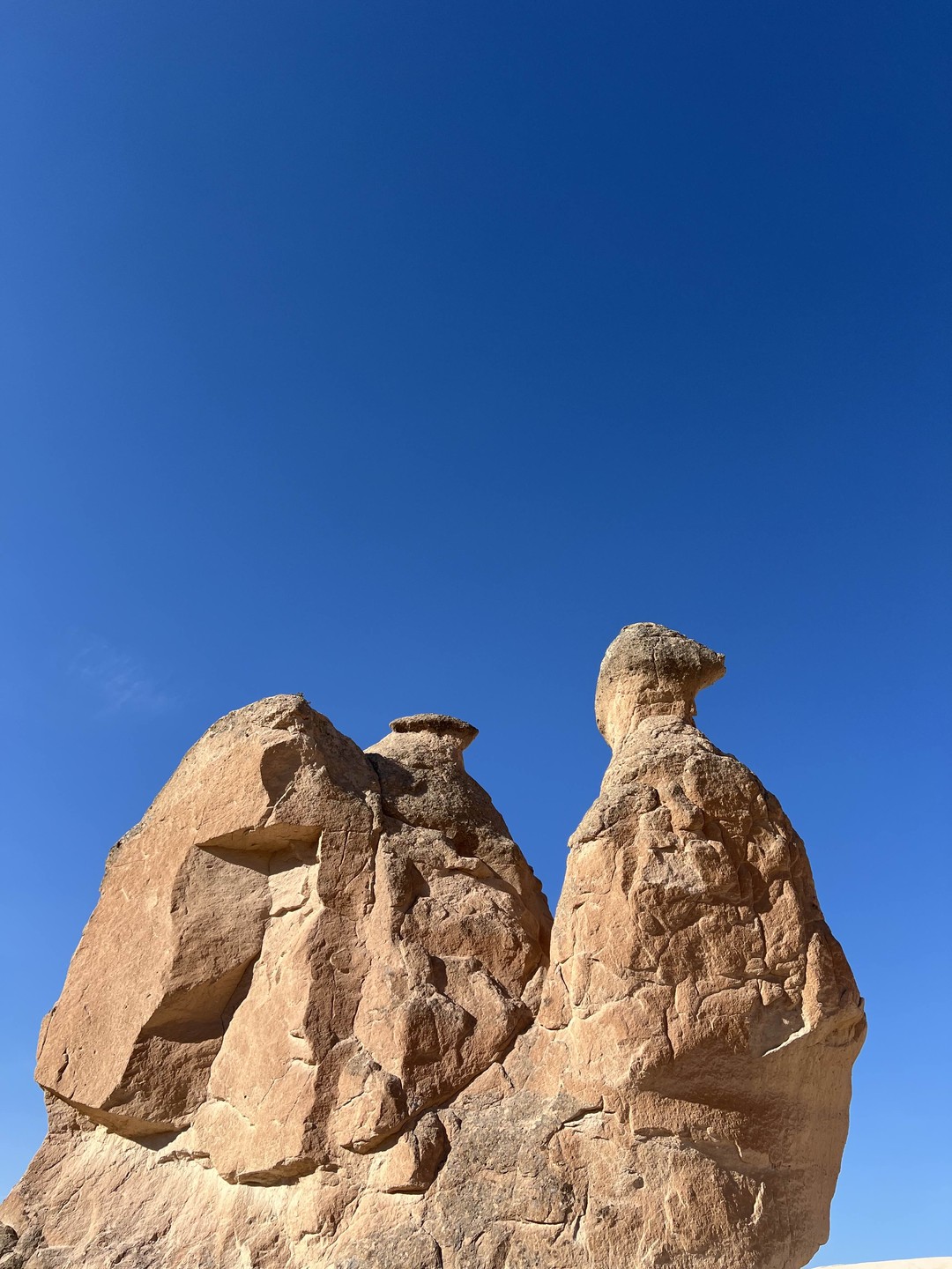 Фото путешественника — 5