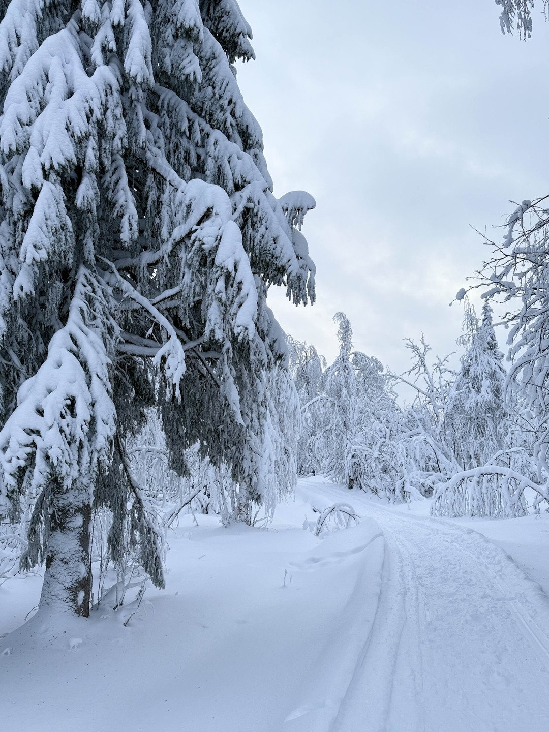 Фото путешественника — 4