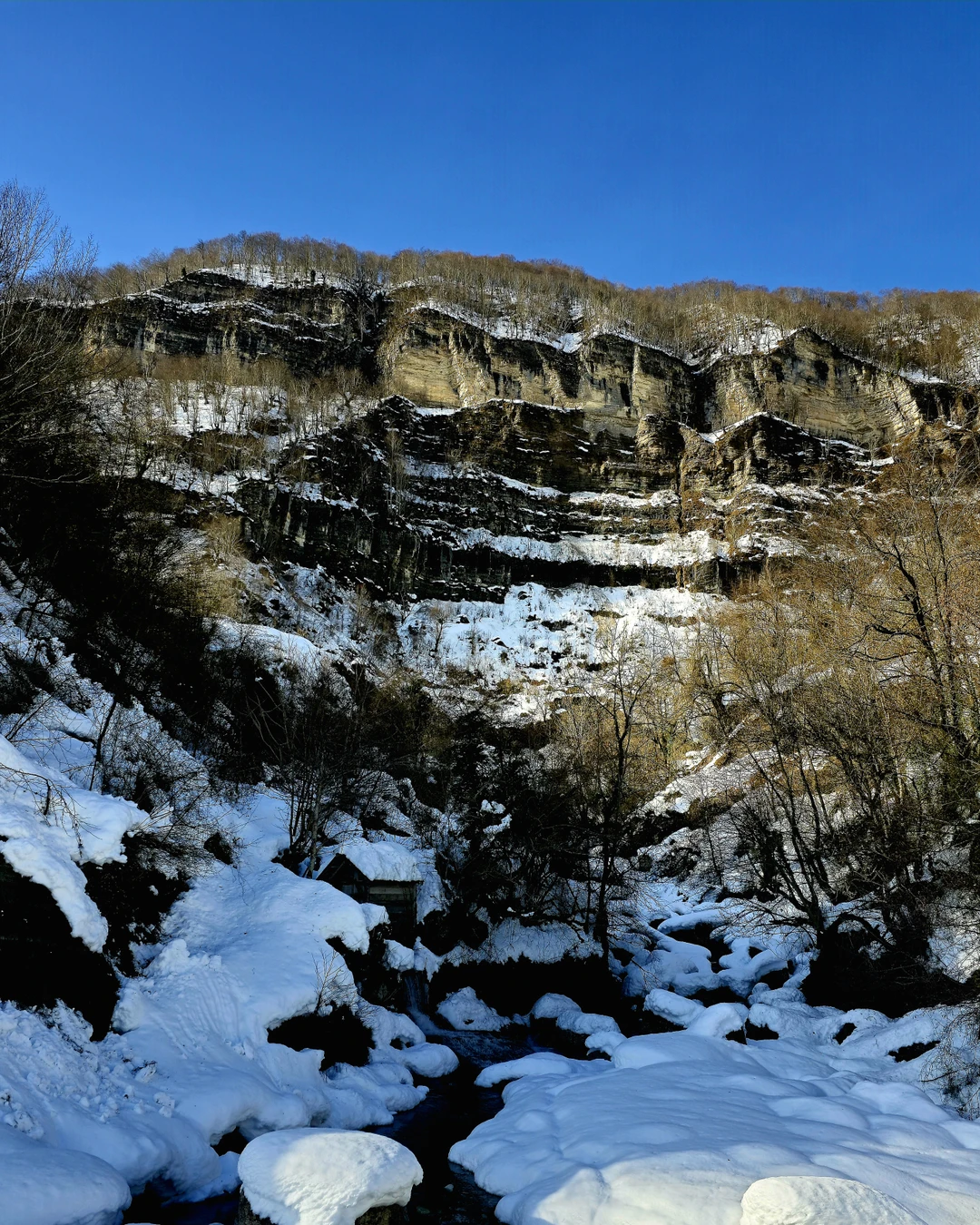 Отзыв о экскурсии "Из Кутаиси — в каньоны и пещеры западной Грузии" — фото 1