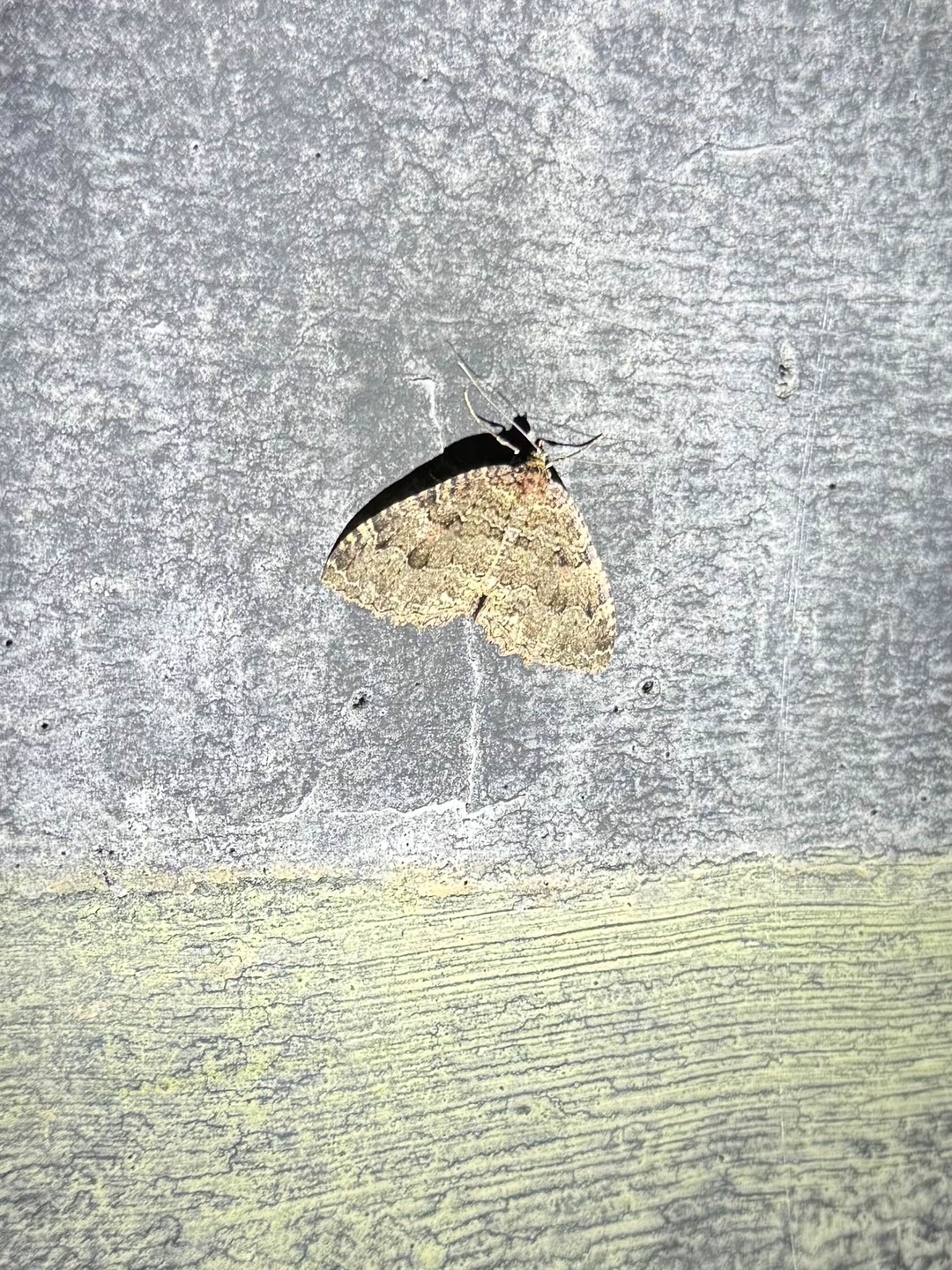 Отзыв о экскурсии "Автомобильный экотур «По следам забытой Финляндии»" — фото 2