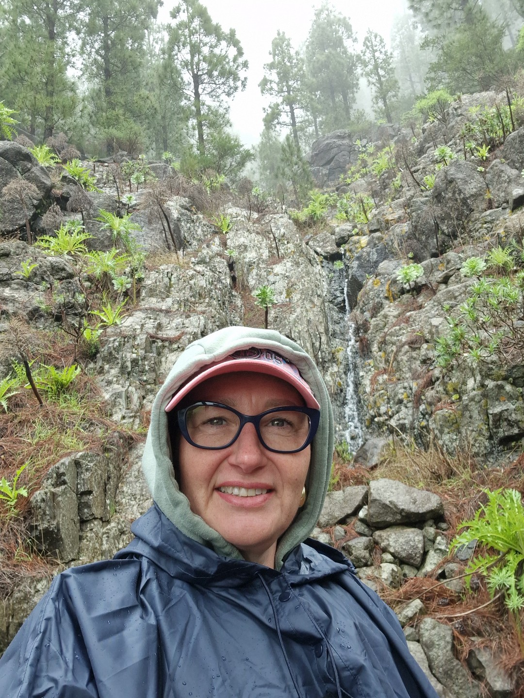 Отзыв о экскурсии "Горная прогулка над ущельем Маска и реликтовый лес Тенерифе" — фото 2