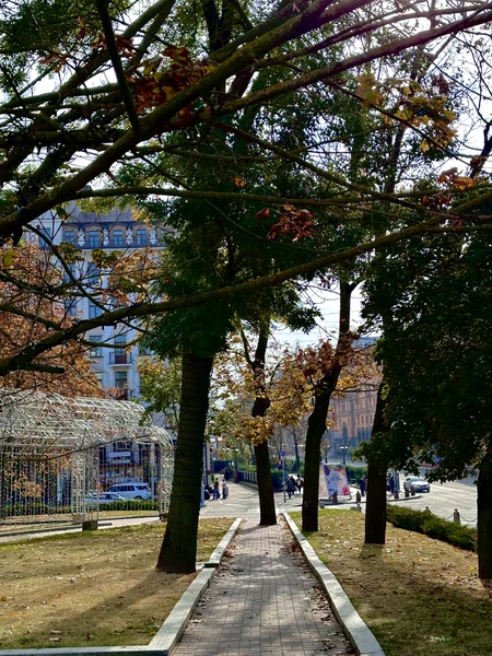 Отзывы об экскурсиях в Минске