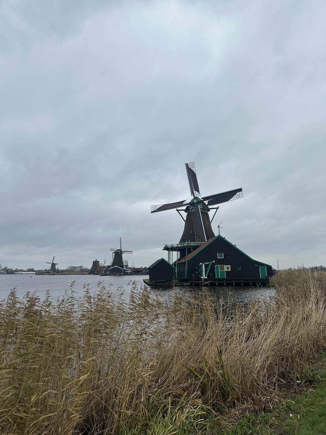 Фото путешественника — 5