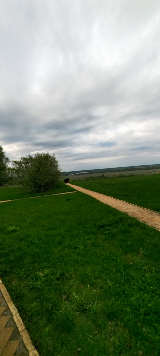 Отзыв о экскурсии "Места, воспетые поэтом: тур по родным краям Сергея Есенина с выездом из Москвы" — фото 3