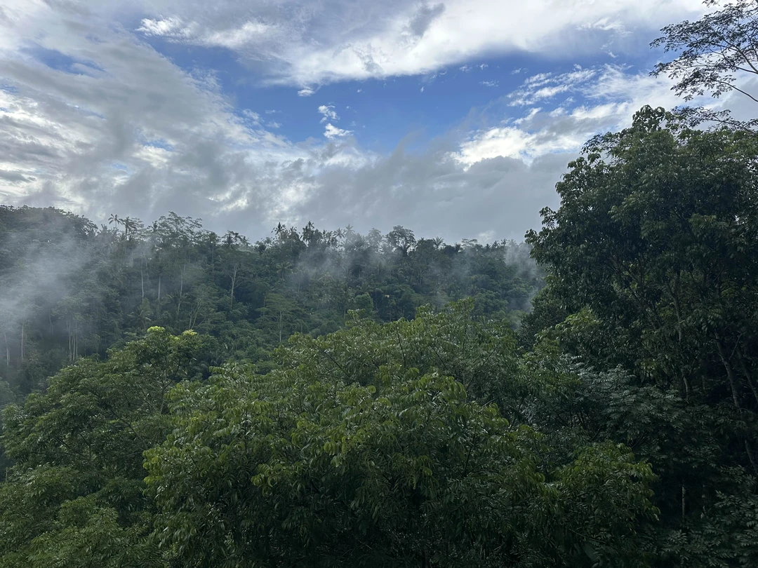 Отзыв о экскурсии "Магия Бали: священные места и природные чудеса" — фото 2