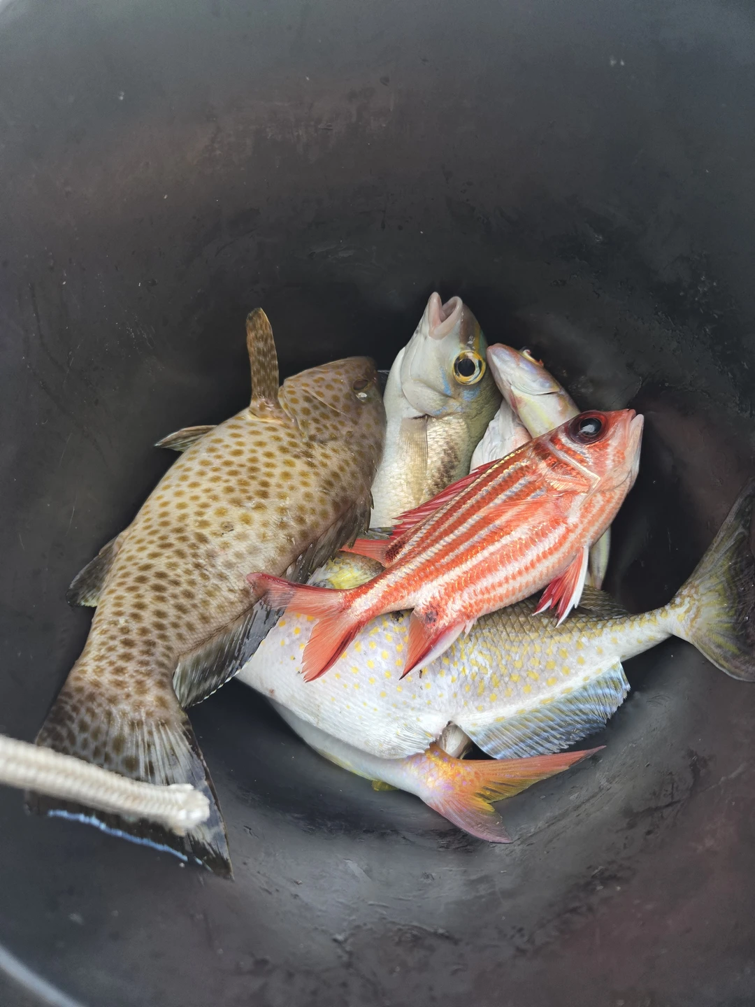 Фото путешественника — 2