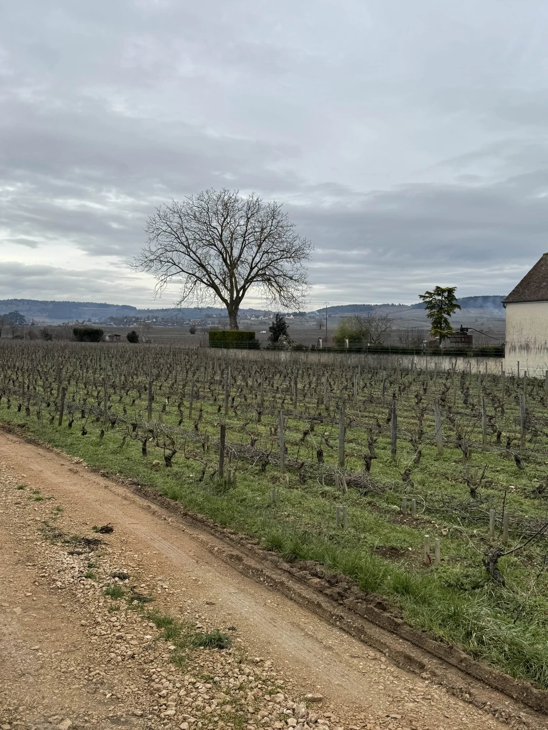 Фото путешественника — 5