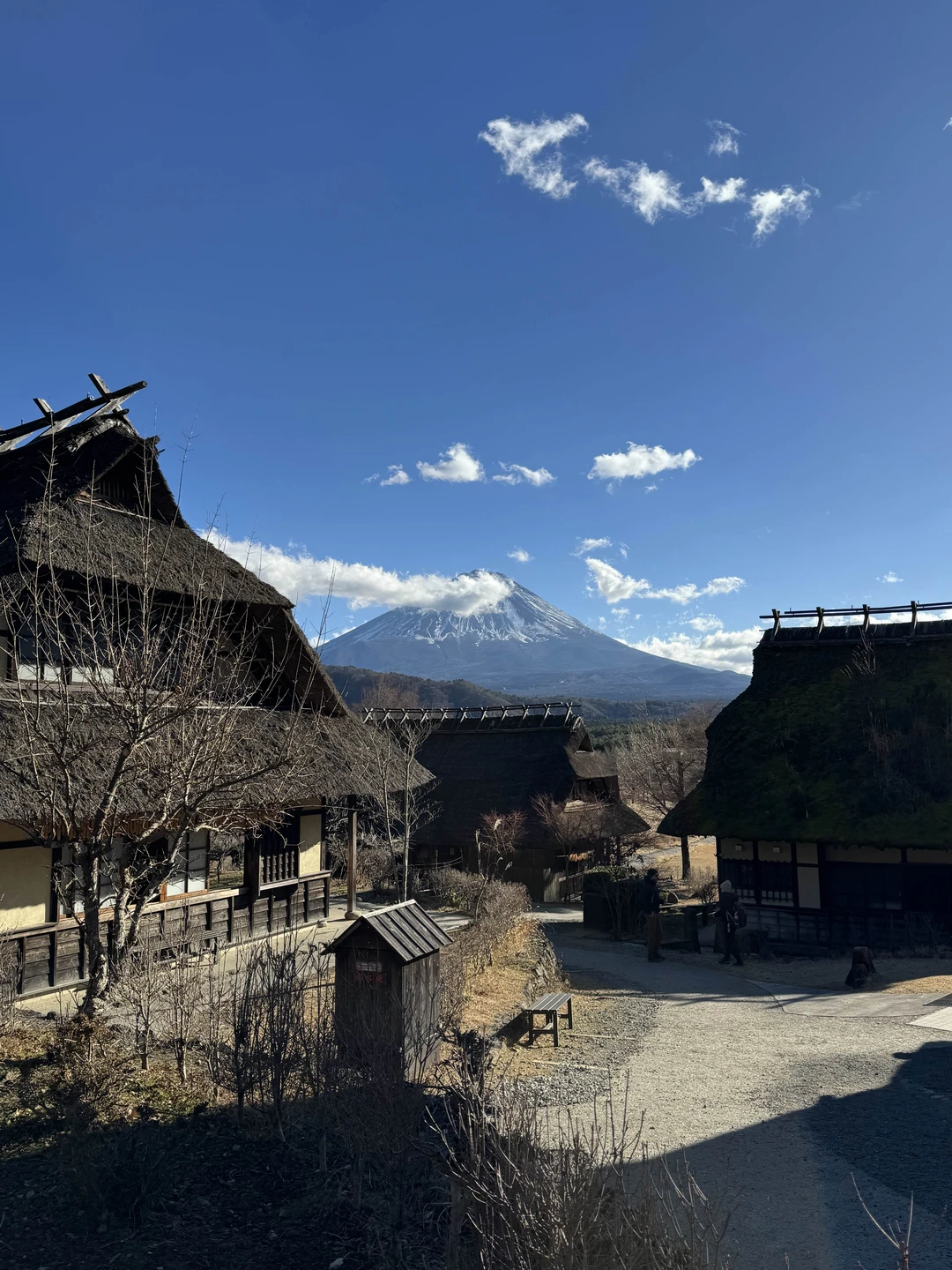 Отзыв о экскурсии "Вокруг Фудзи: где оживает история" — фото 2