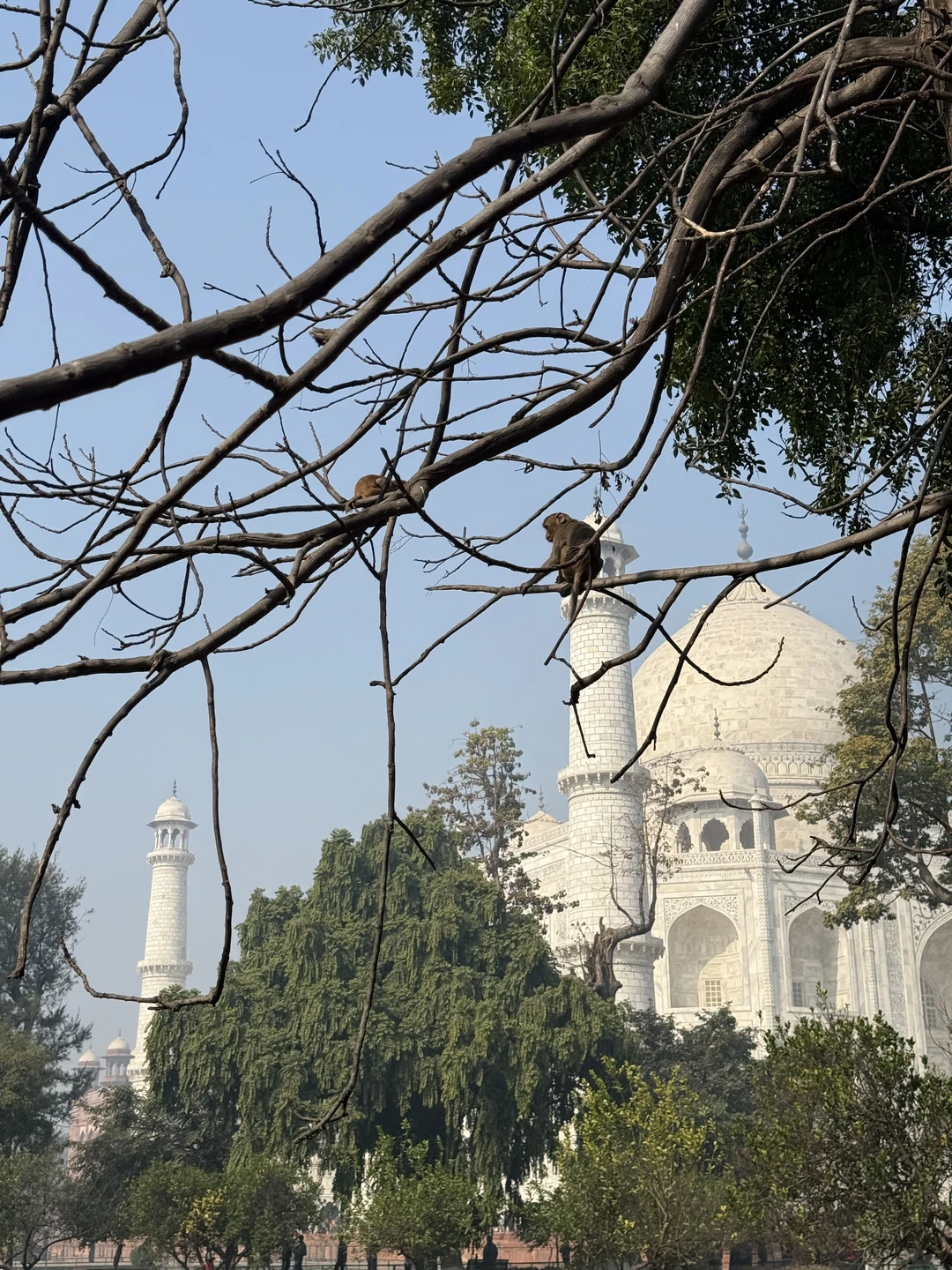 Отзыв о экскурсии "Рассвет у Тадж-Махала" — фото 7