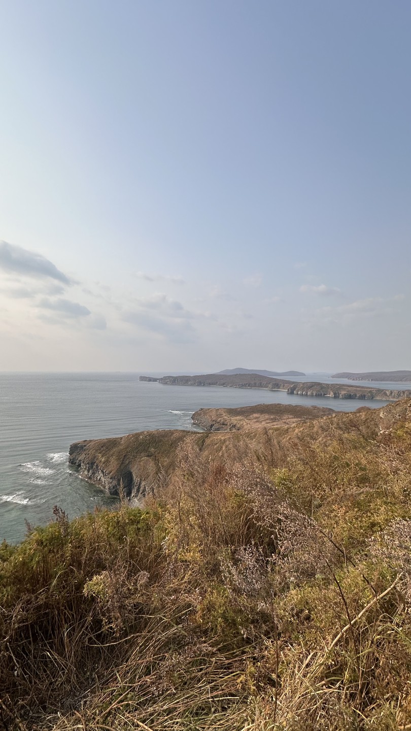Отзыв о экскурсии "Топ-5 мысов острова Русский!" — фото 6