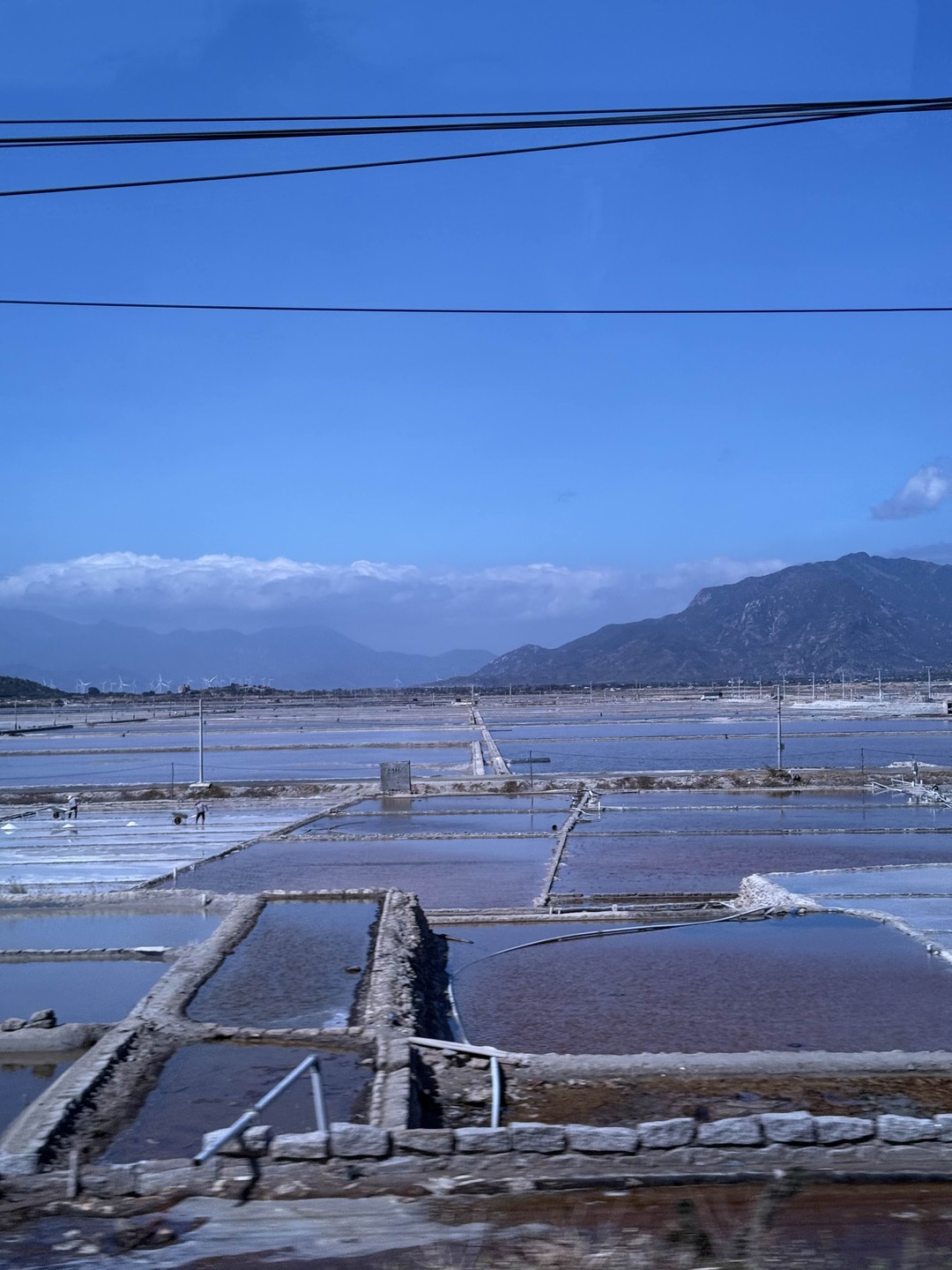 Отзыв о экскурсии "«Лабиринт дракона», барханы и виноградники — из Нячанга (всё включено)" — фото 1