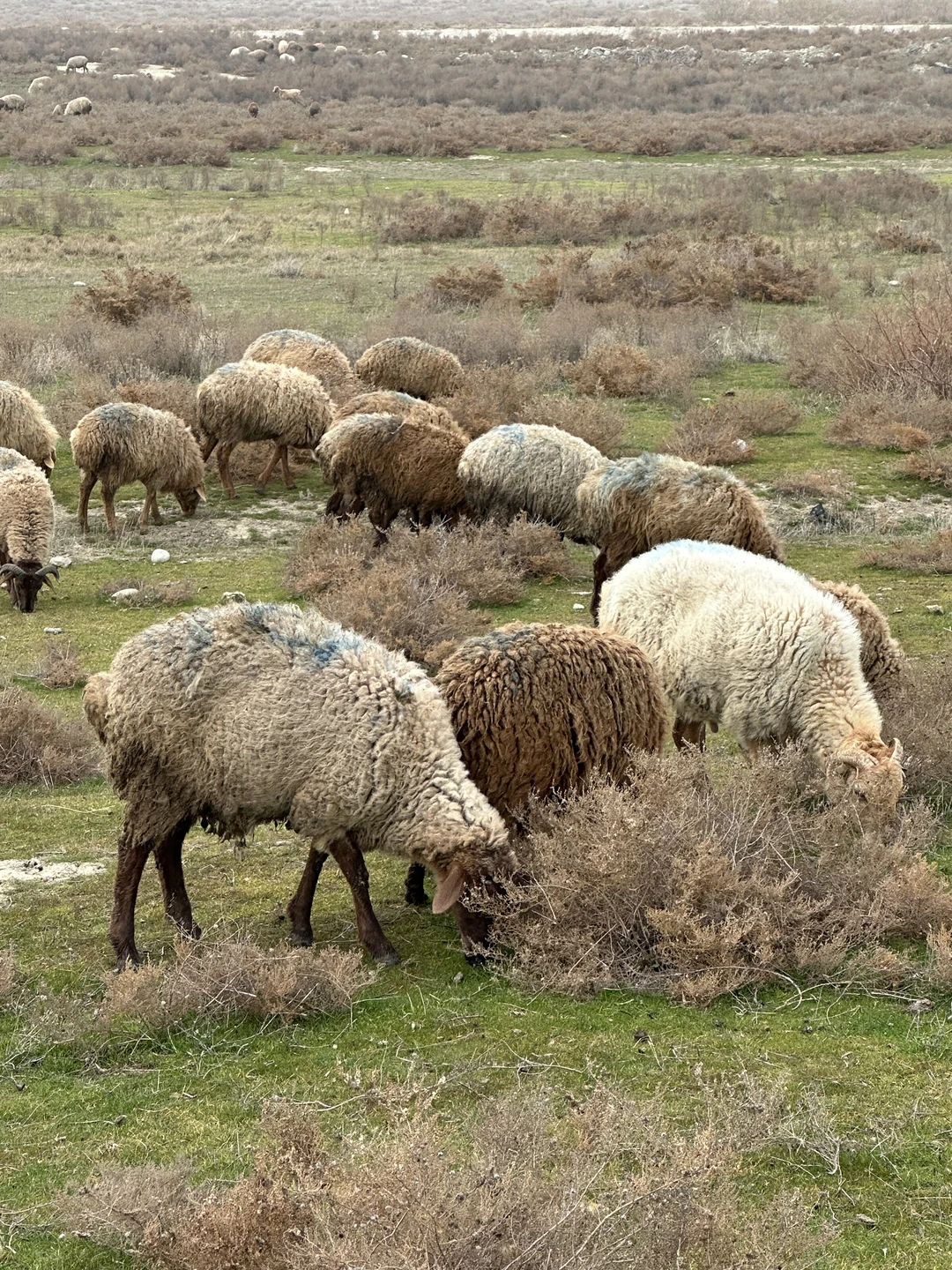 Фото путешественника — 7