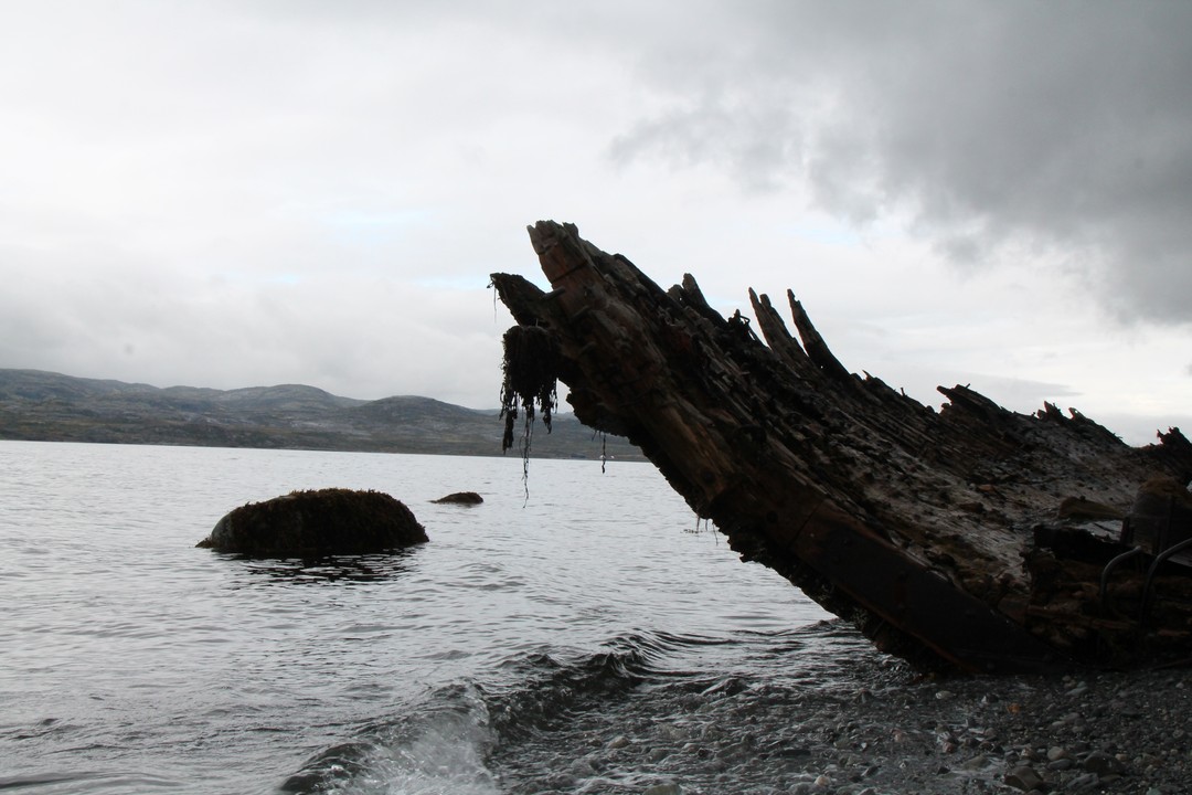 Отзыв о экскурсии "Заповедная территория: к океану на гигантской машине с проживанием в кемпинге" — фото 5