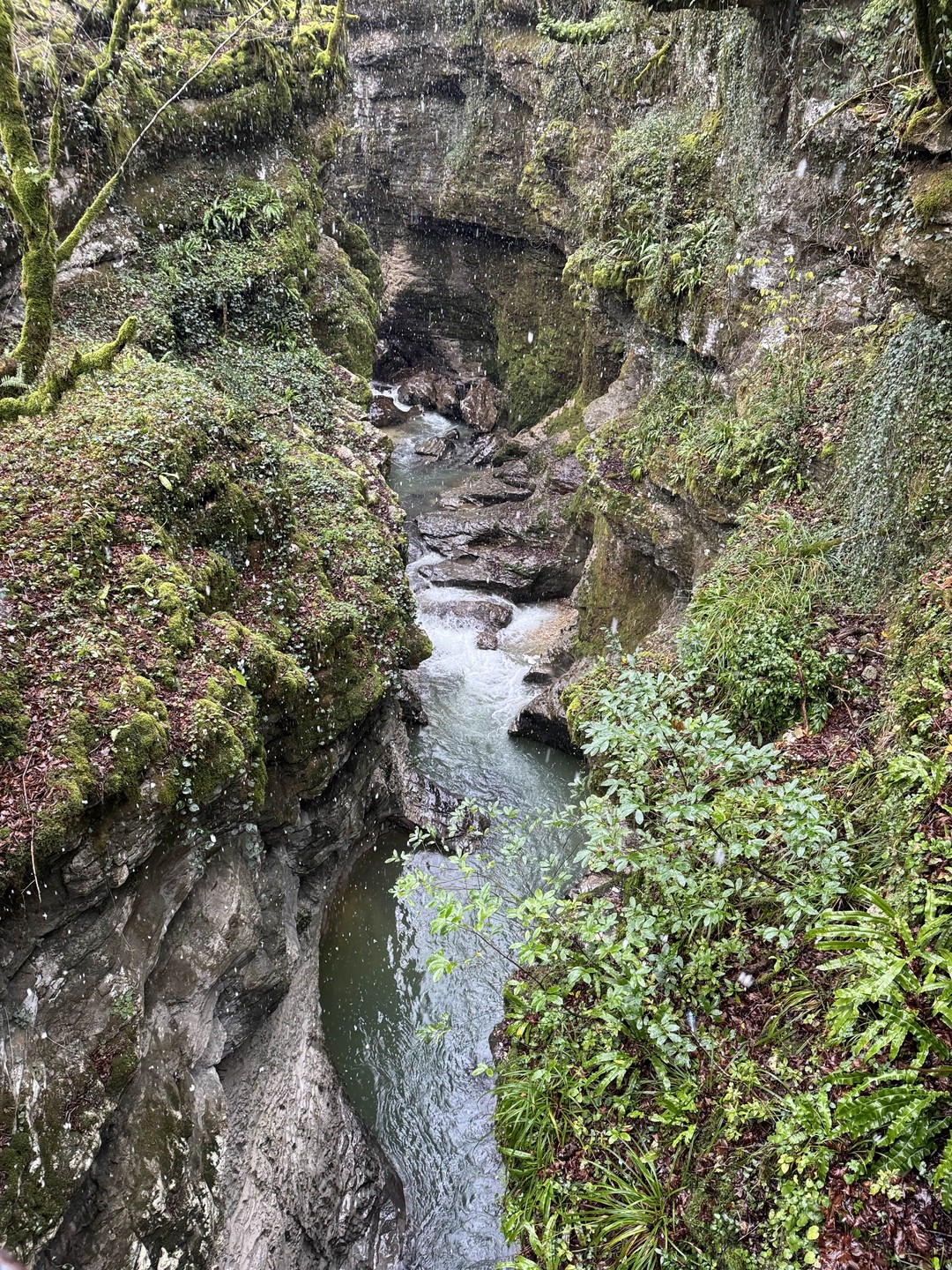 Отзыв о экскурсии "Каньоны и водопады — тайные сокровища западной Грузии" — фото 1