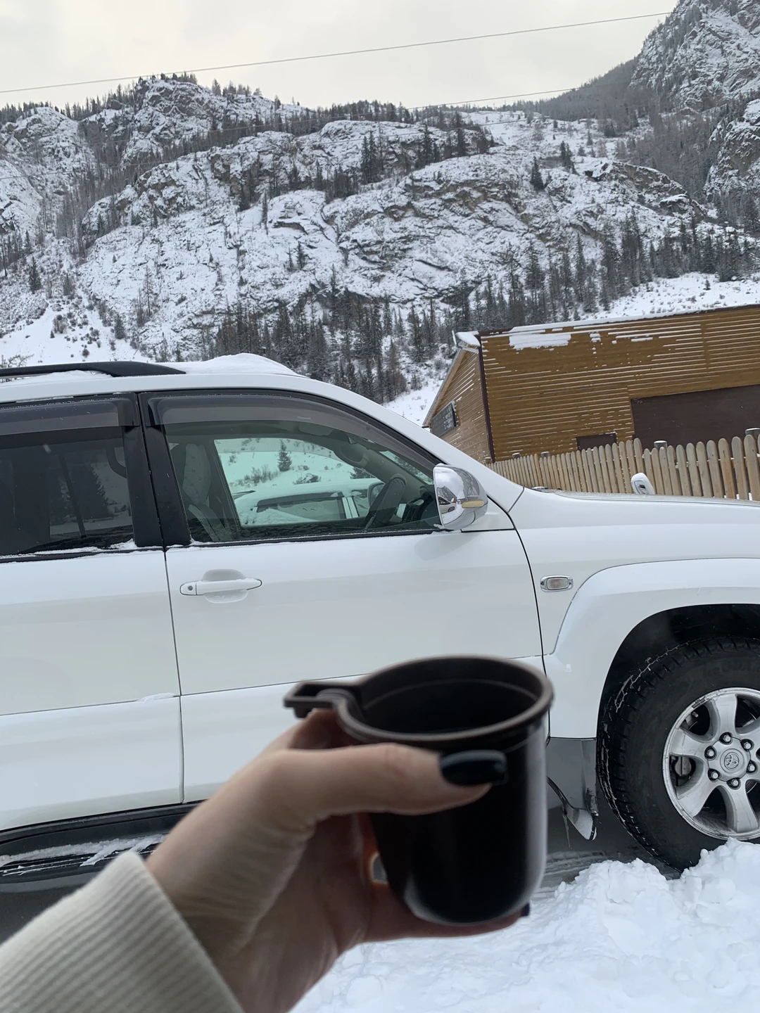 Отзыв о экскурсии "Чуйский тракт: покоряя алтайские вершины" — фото 6