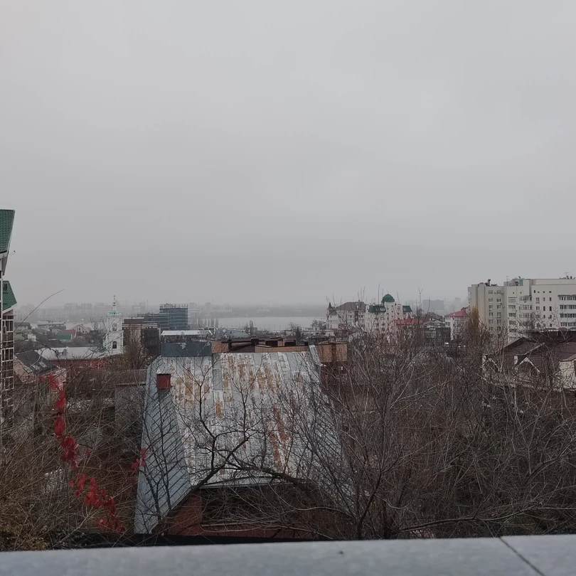 Отзыв о экскурсии "136 шагов в историю Воронежа" — фото 1