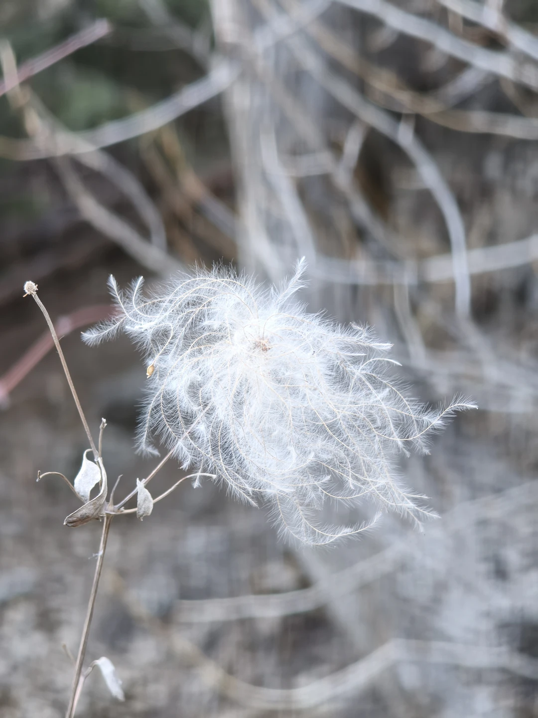 Отзыв о экскурсии "Озёра Каинды и Кольсай, Черный и Чарынский каньоны — все сокровища Алматы" — фото 2