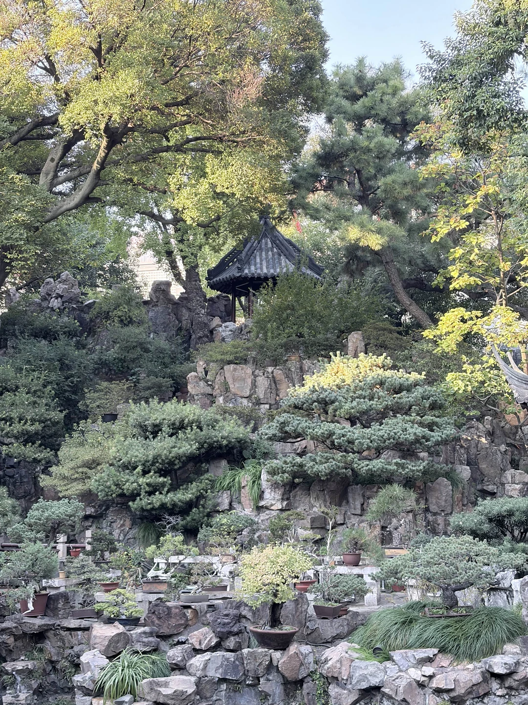 Отзыв о экскурсии "Весь Шанхай за один день" — фото 7