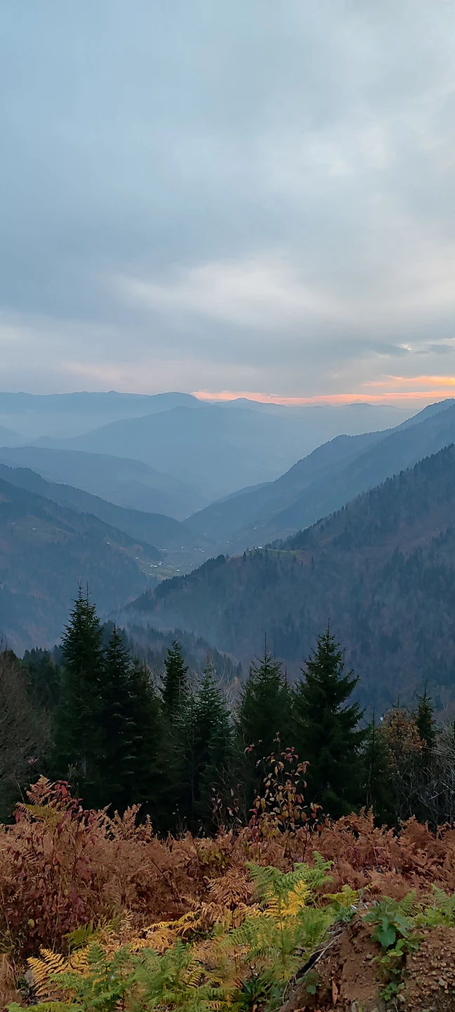 Отзыв о экскурсии "Прикосновение к облакам — в Гомисмта из Батуми" — фото 1