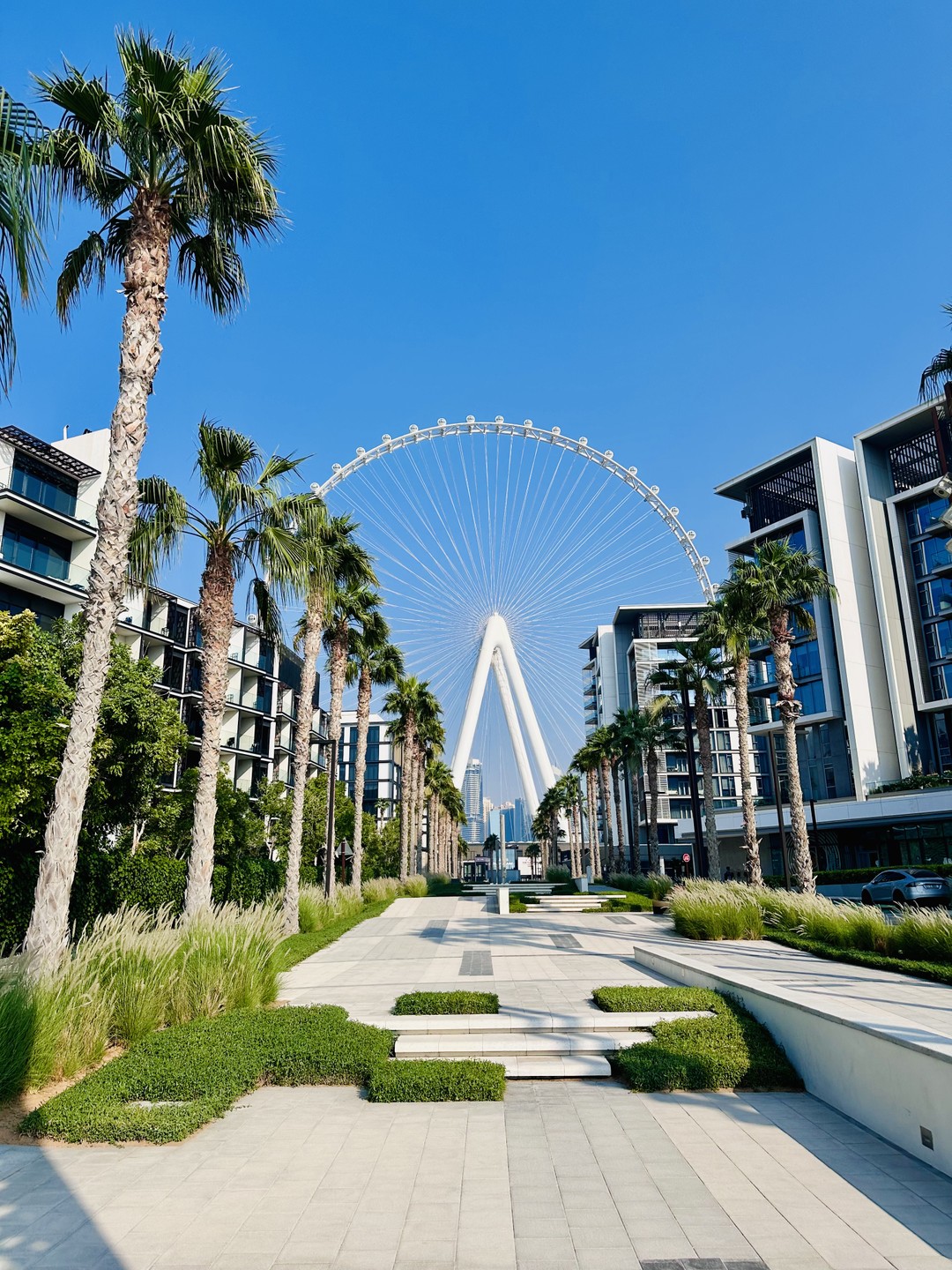 Отзыв о экскурсии "1 день в Дубае + катание на монорельсе" — фото 5