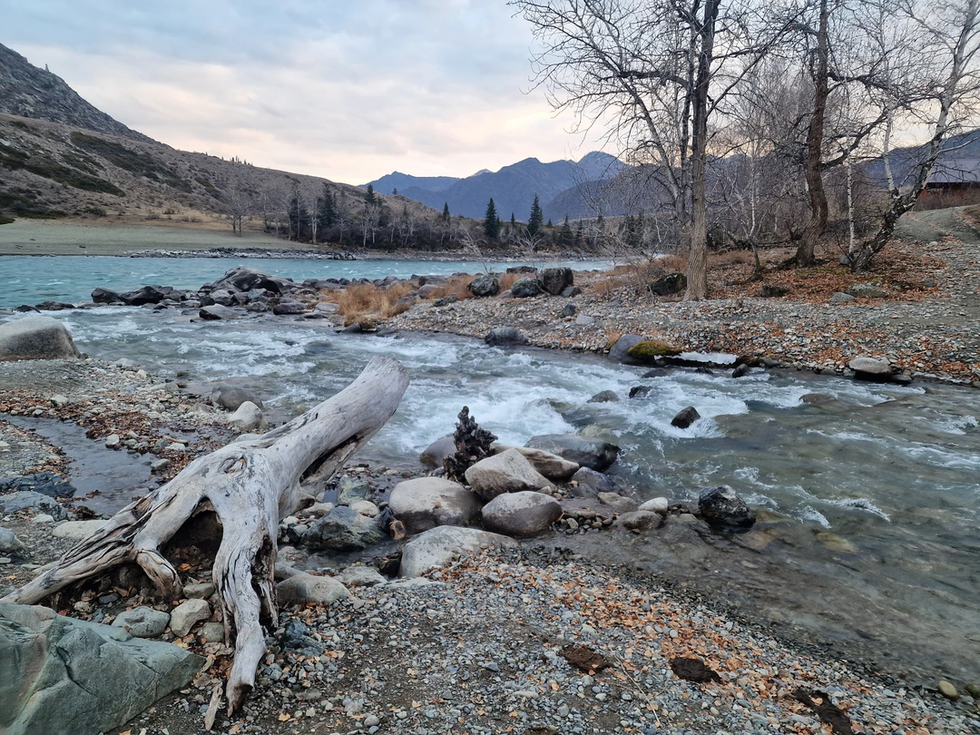Отзыв о экскурсии "Чуйский тракт за 1 день: экскурсия-конструктор" — фото 4