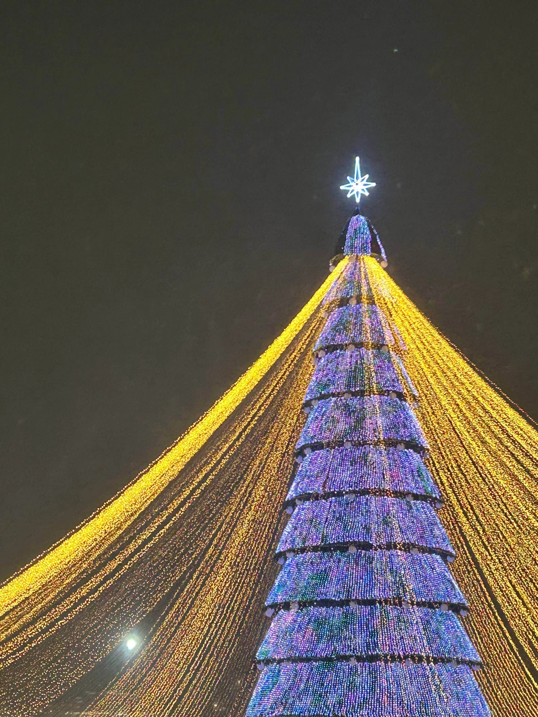Отзыв о экскурсии "Казань в огнях вечерней подсветки и колесо обозрения" — фото 1