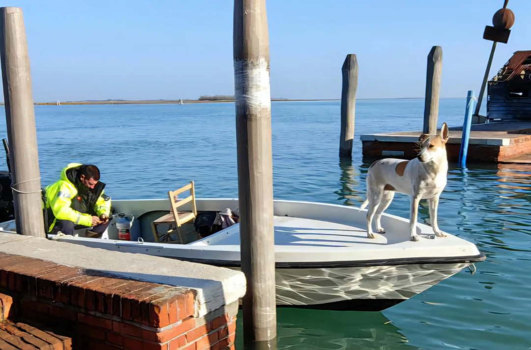 Отзыв о экскурсии "Венецианское трио: острова Мурано, Бурано и Торчелло" — фото 4