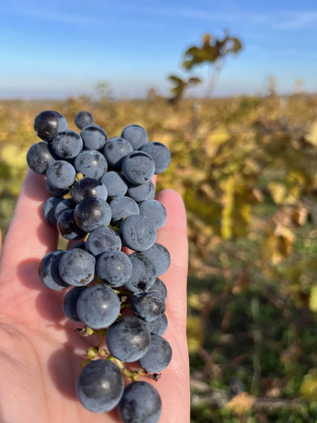 Фото путешественника — 6