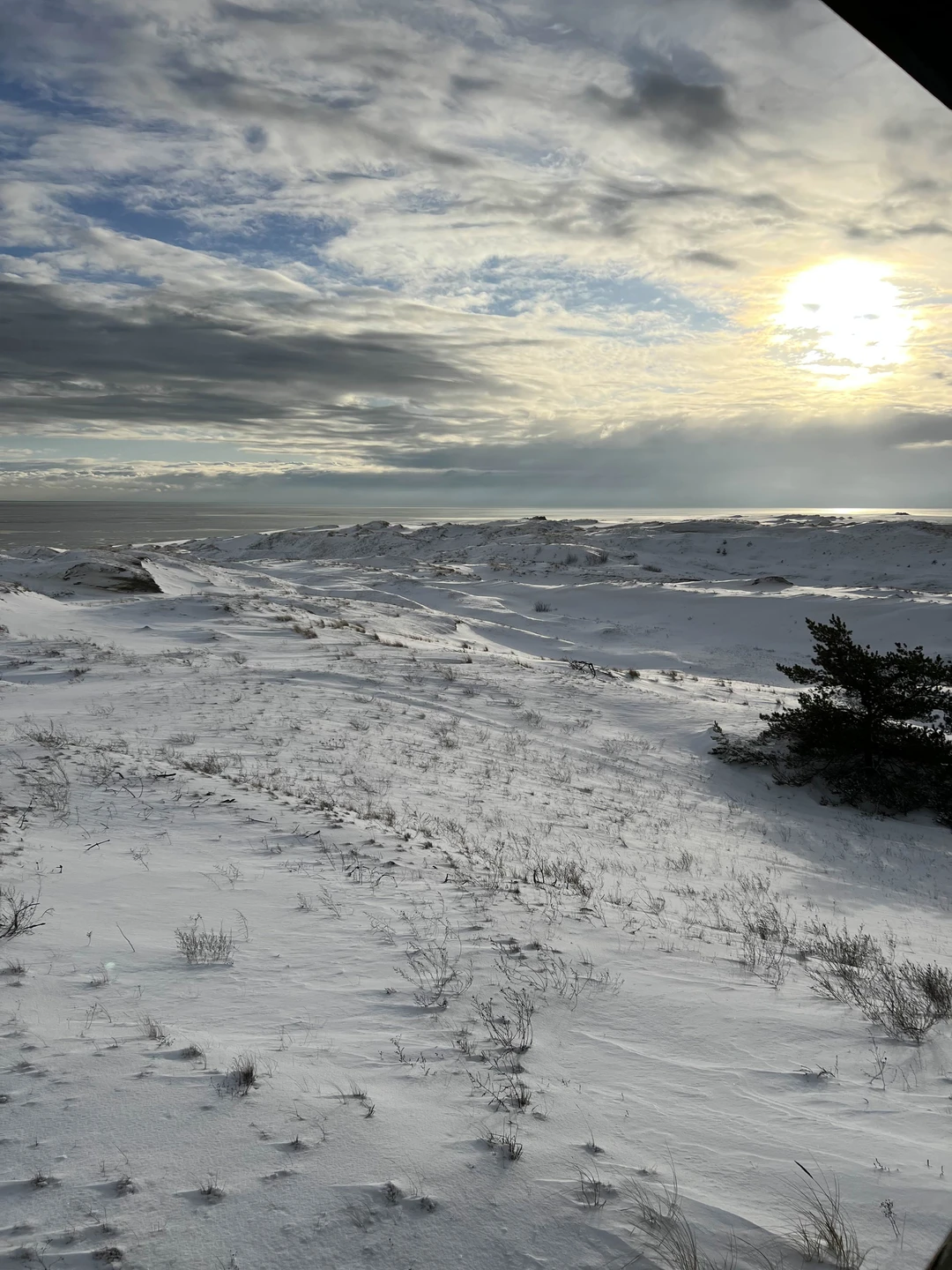 Отзыв о экскурсии "Первый раз на Куршской косе — из Зеленоградска" — фото 5