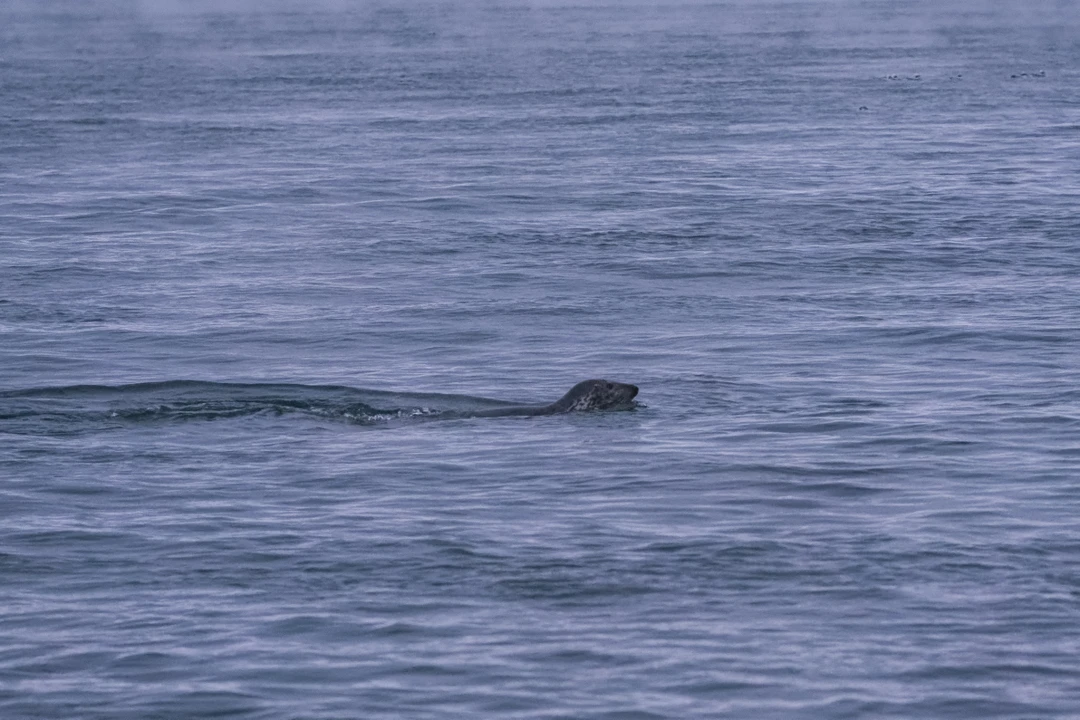 Фото путешественника — 7