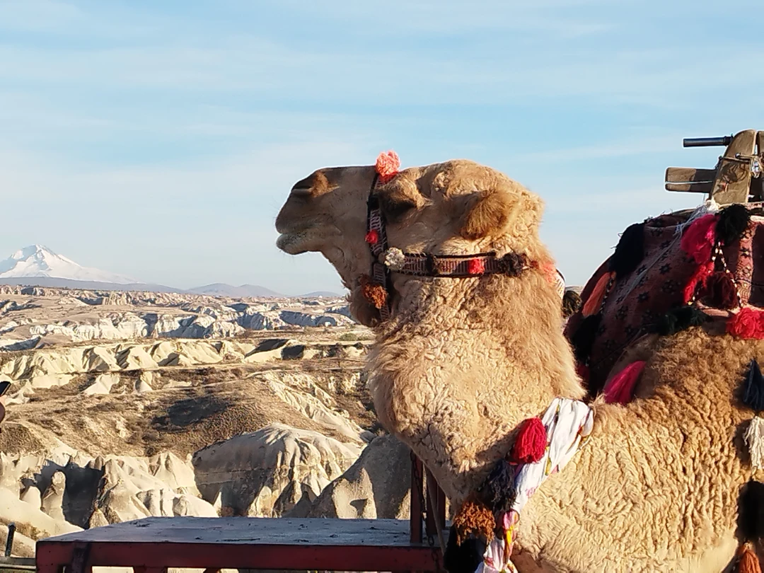 Фото путешественника — 4