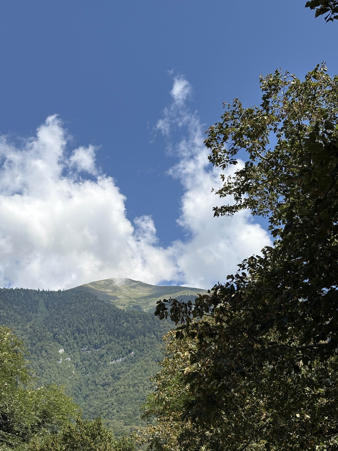 Фото путешественника — 5