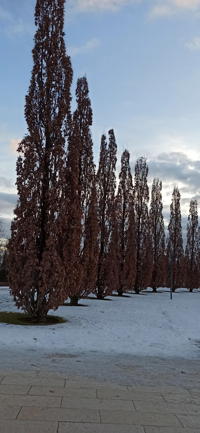 Фото путешественника — 7