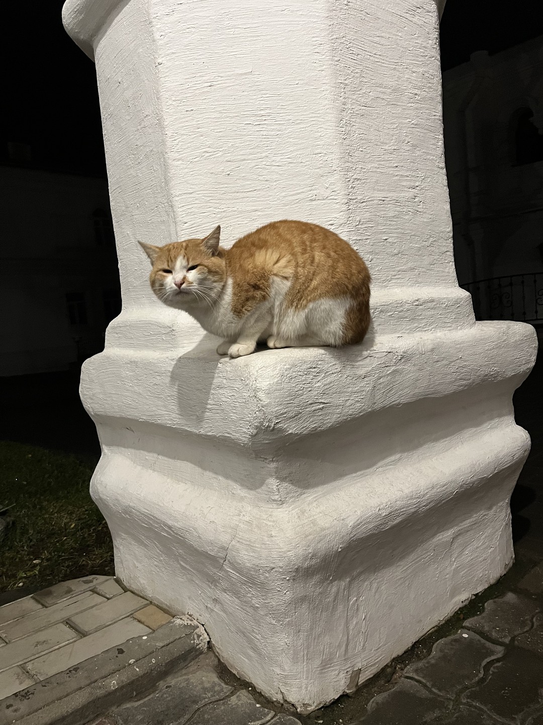 Фото путешественника — 3