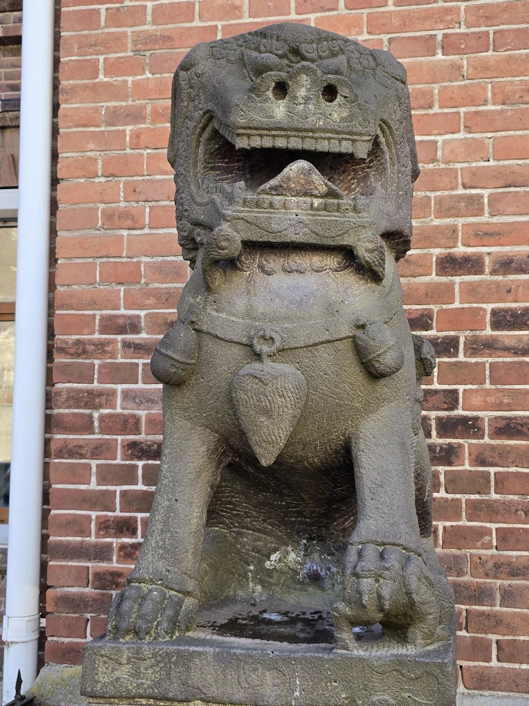 Фото путешественника — 7