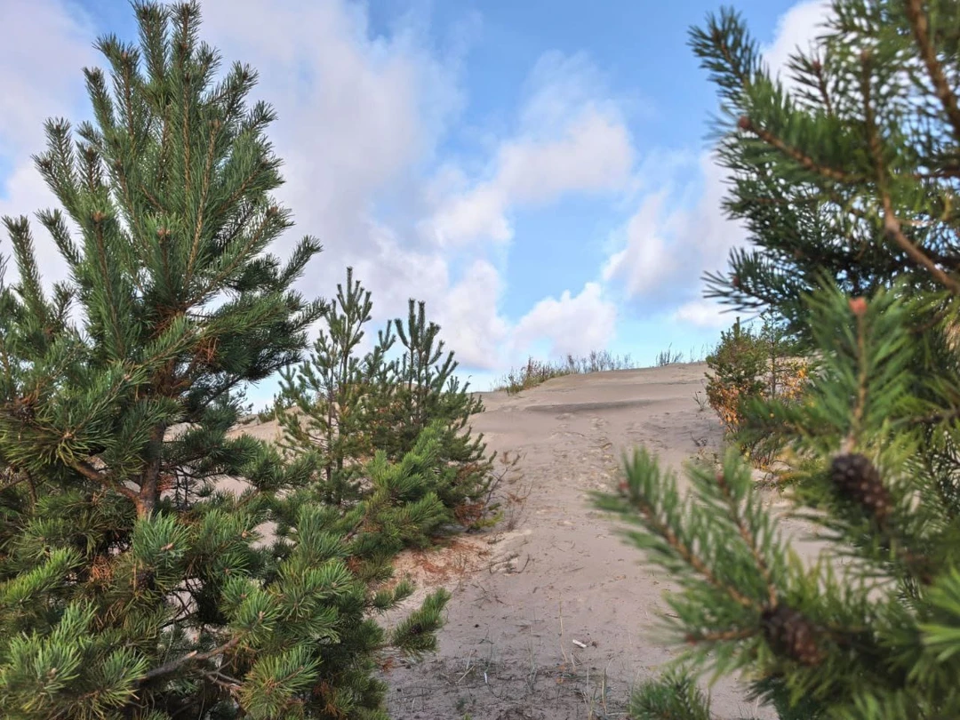 Фото путешественника — 2