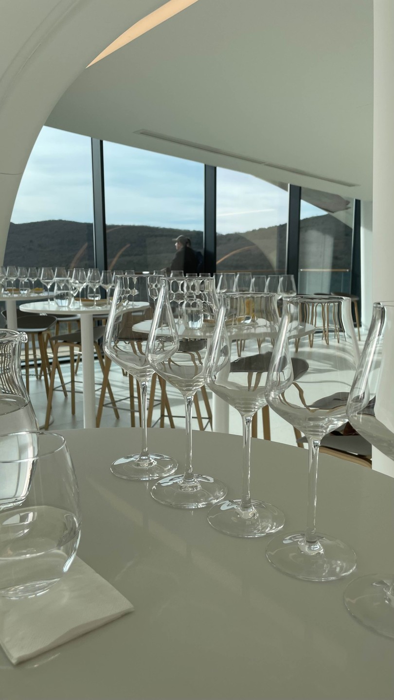 Отзыв о экскурсии "Винные открытия: Скалистый берег, Шумринка и Гай-Кодзор" — фото 4