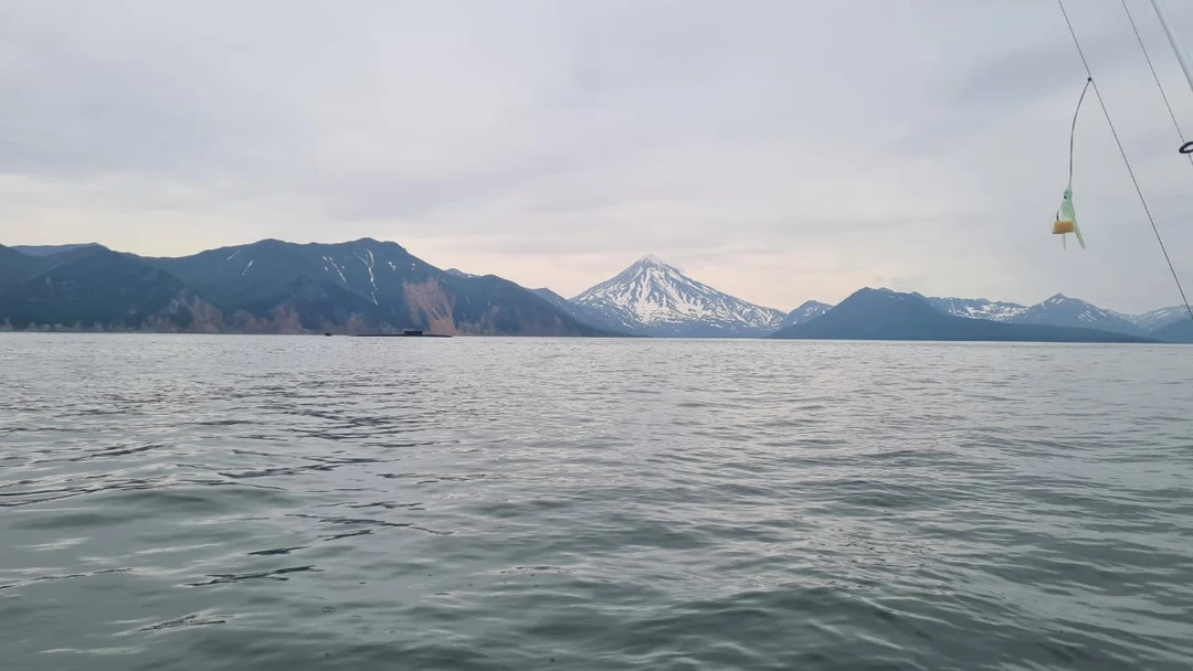 Отзыв о экскурсии "Бухта Русская — с высадкой на берег, морской рыбалкой и крабовым сафари" — фото 3