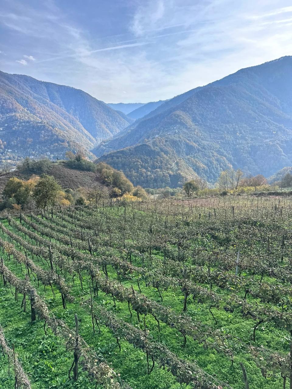 Отзыв о экскурсии "Невероятная Горная Аджария" — фото 1