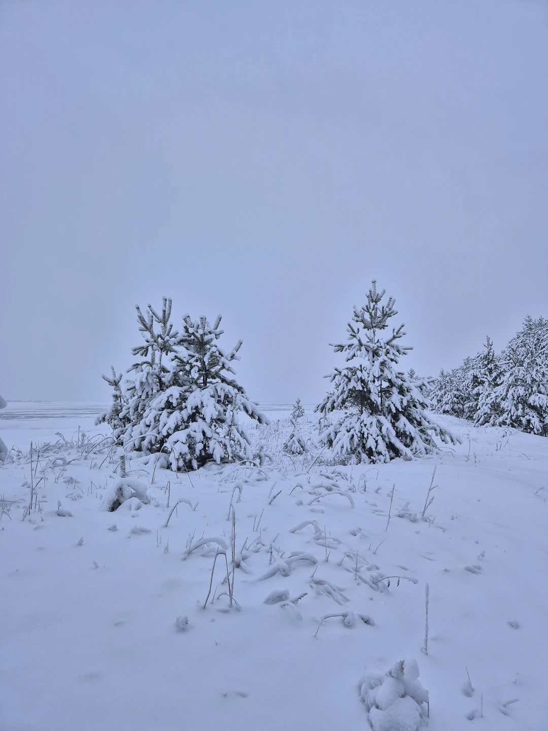 Отзыв о экскурсии "К Белому морю на остров Ягры" — фото 1
