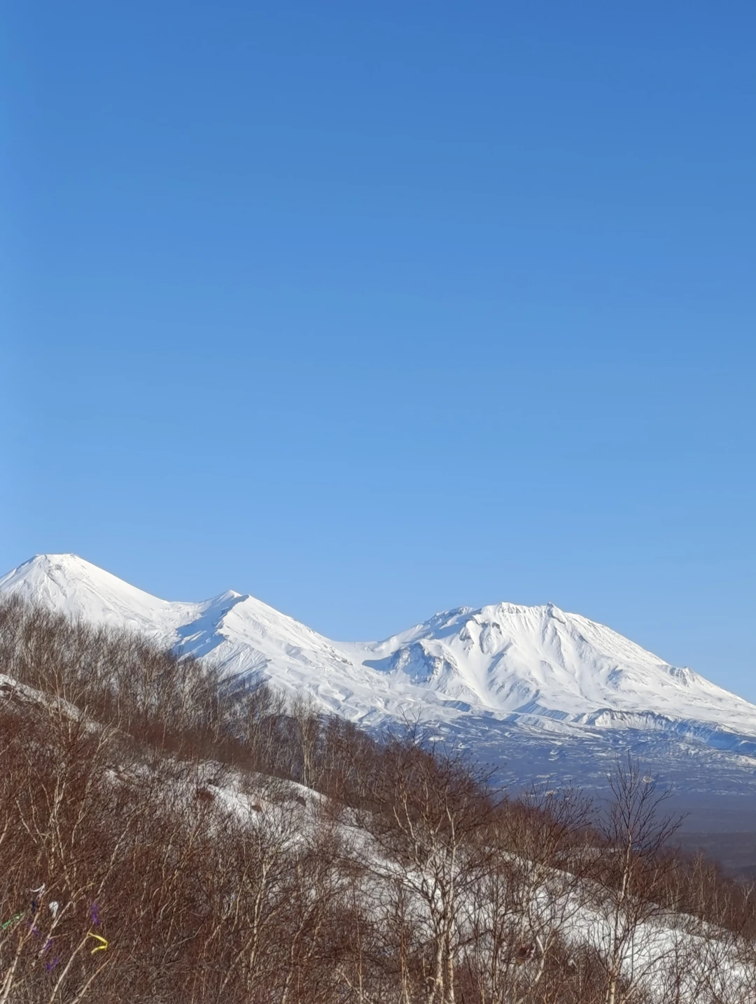 Отзыв о экскурсии "От сопки до океана: красивейшие окрестности Петропавловска-Камчатского" — фото 2