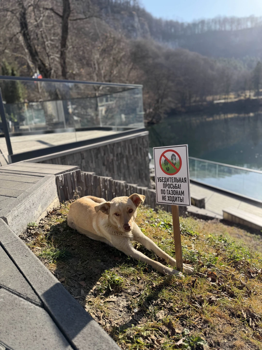 Фото путешественника — 2