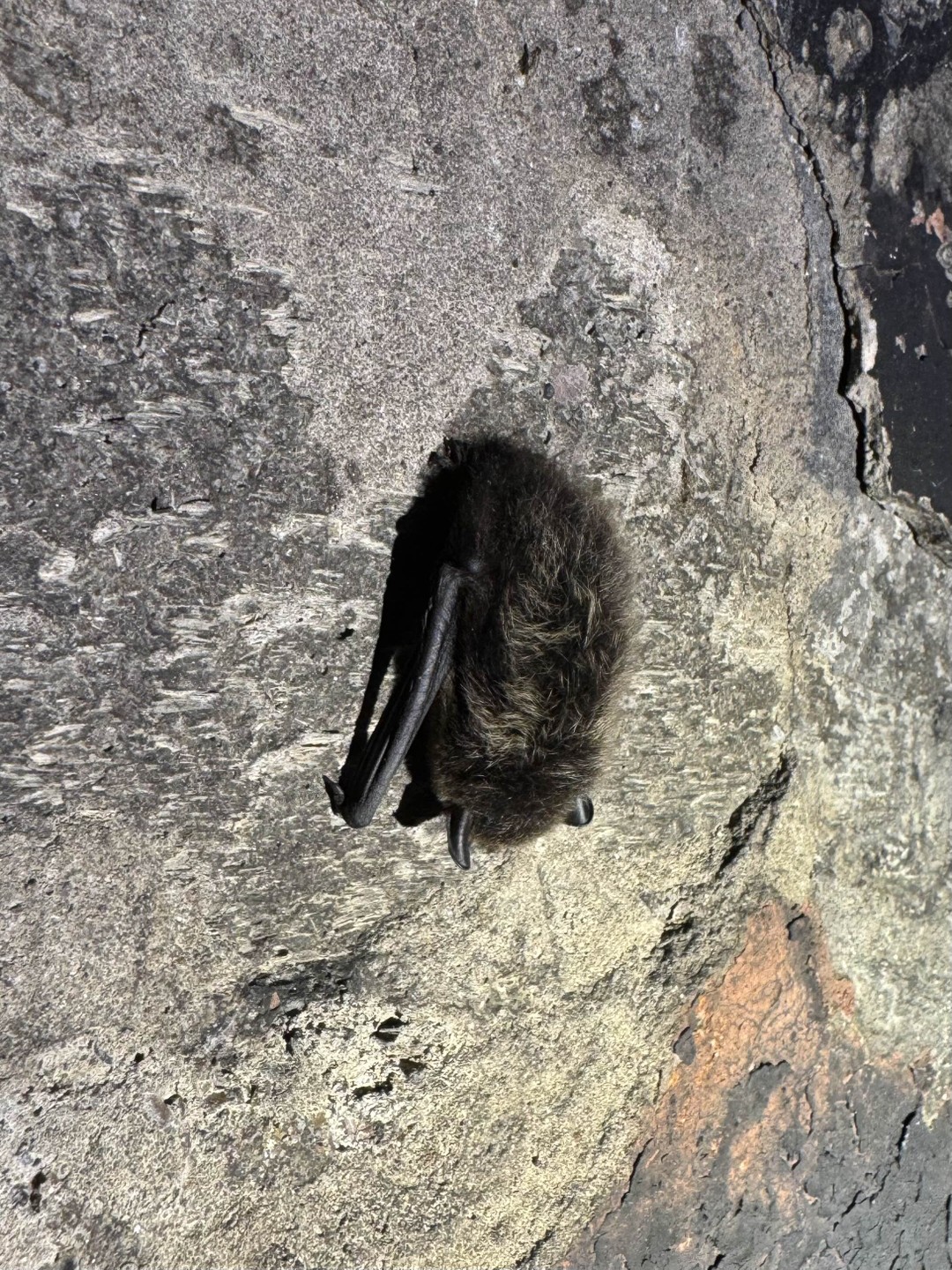 Отзыв о экскурсии "Автомобильный экотур «По следам забытой Финляндии»" — фото 7