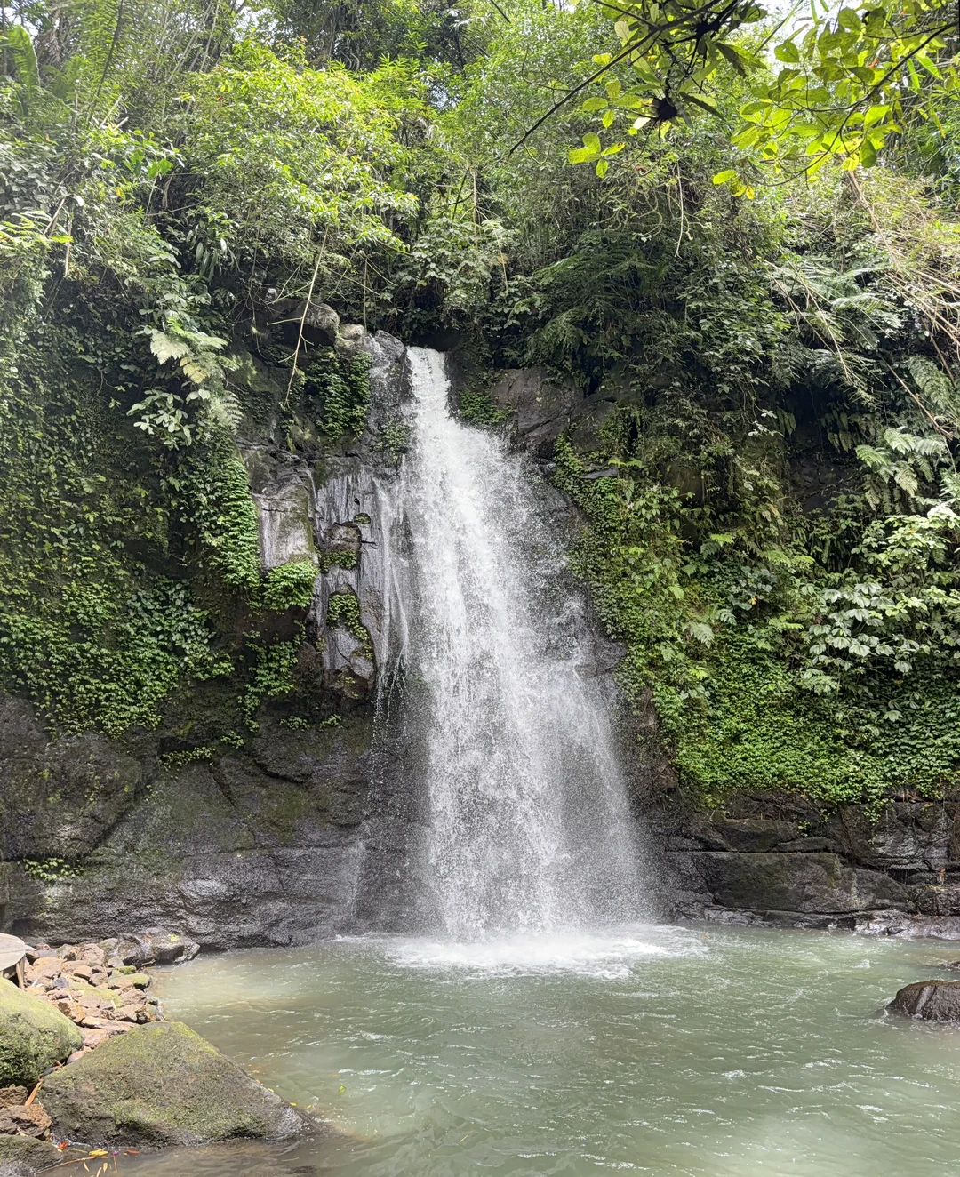 Отзыв о экскурсии "Бали, который вы ждёте!" — фото 2