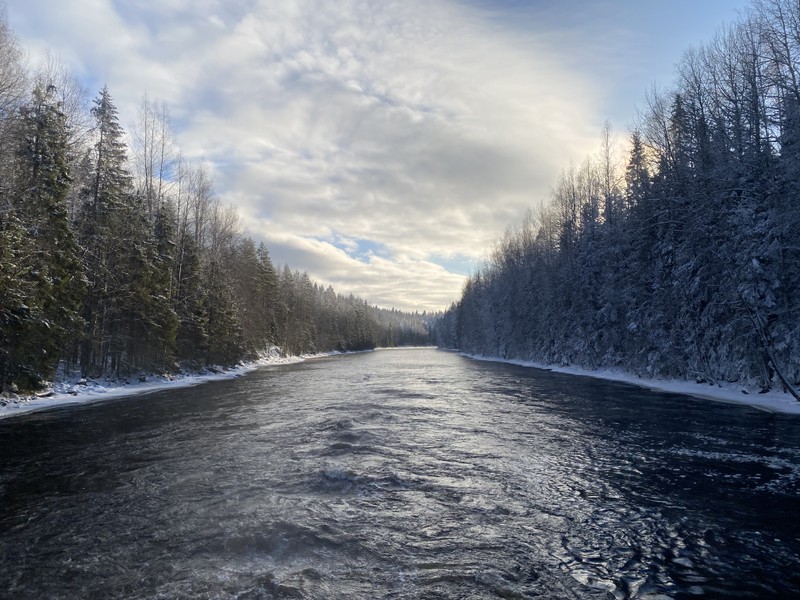 Отзыв о экскурсии "Там, где властвует природа: индивидуальный автотур в Карелию с гидом-фотографом" — фото 2