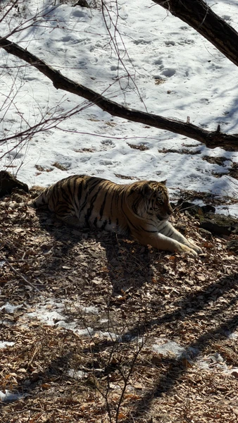 Фото путешественника — 6