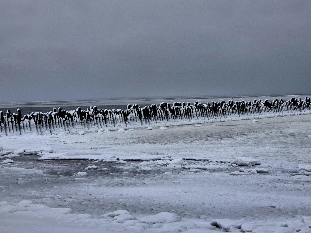 Отзыв о экскурсии "К Белому морю на остров Ягры" — фото 5